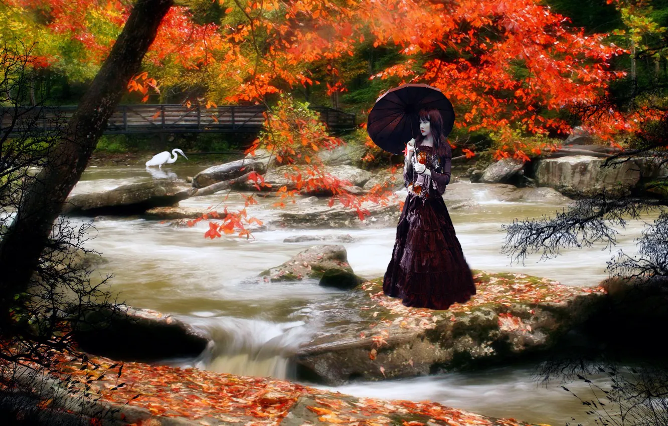 Photo wallpaper girl, bridge, Autumn, mountain river, Heron, Asia.