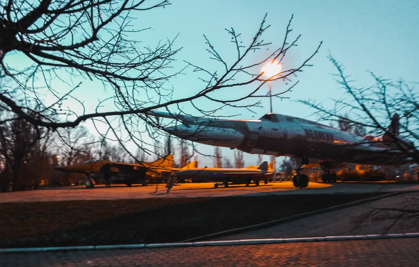 Photo wallpaper the sky, nature, Park, victory, walk, the plane