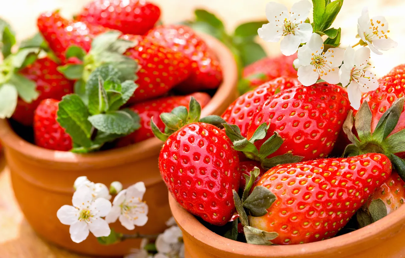 Photo wallpaper berries, strawberry, red, fresh, ripe, strawberry, berries