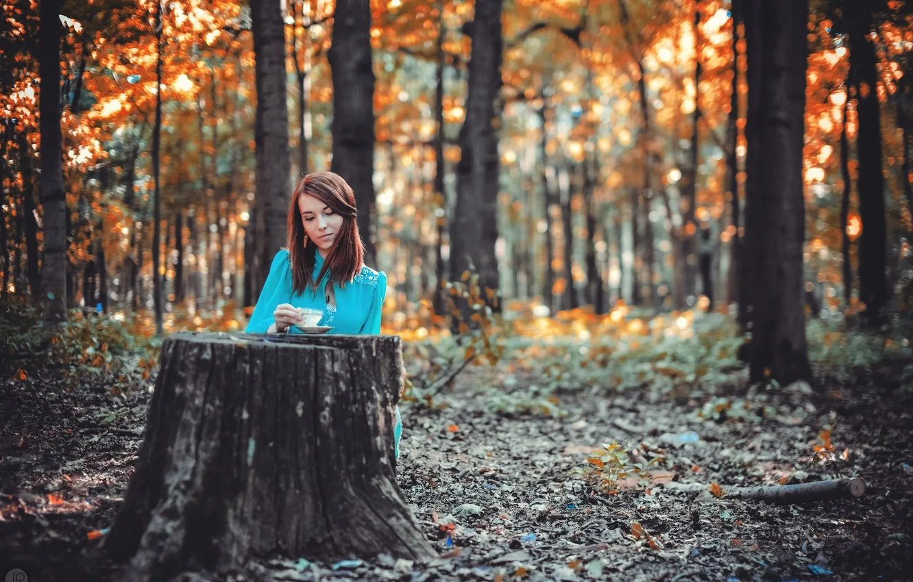 Photo wallpaper girl, stump, girl, Julie Resh