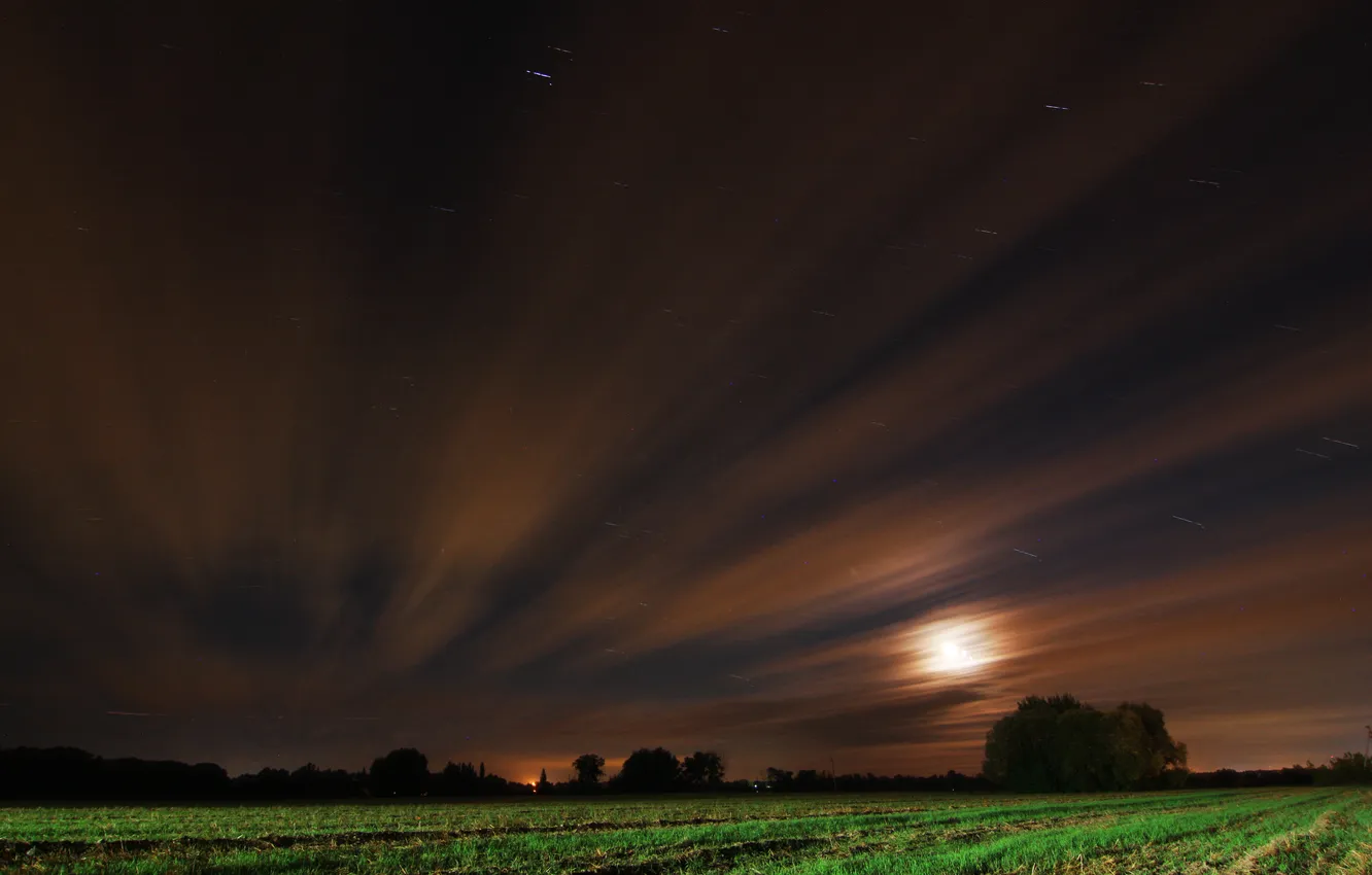 Photo wallpaper field, landscape, nature