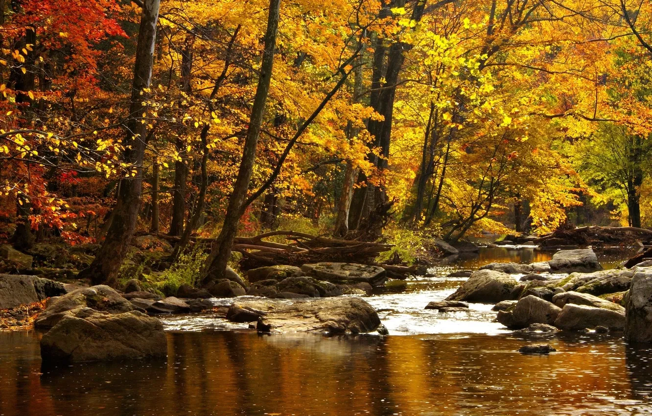 Photo wallpaper autumn, water, trees, mountains, nature, river, stones, forest