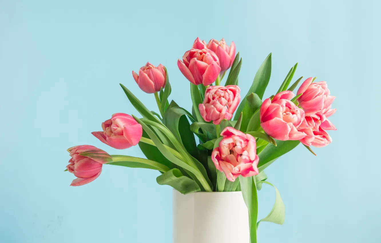 Photo wallpaper table, background, blue, bouquet, tulips, vase, gentle