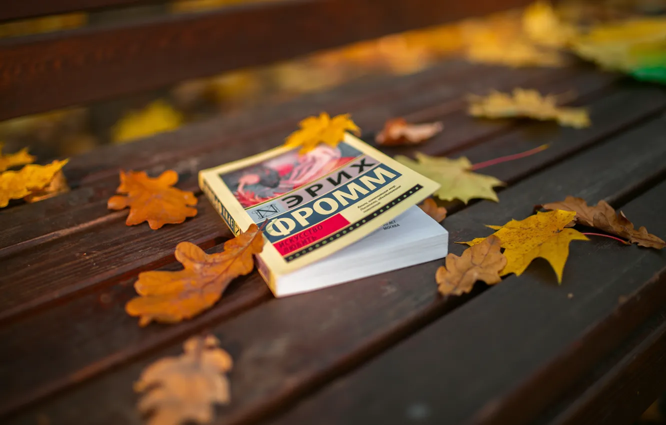 Photo wallpaper autumn, bench, Park, foliage, shop, book, leaves