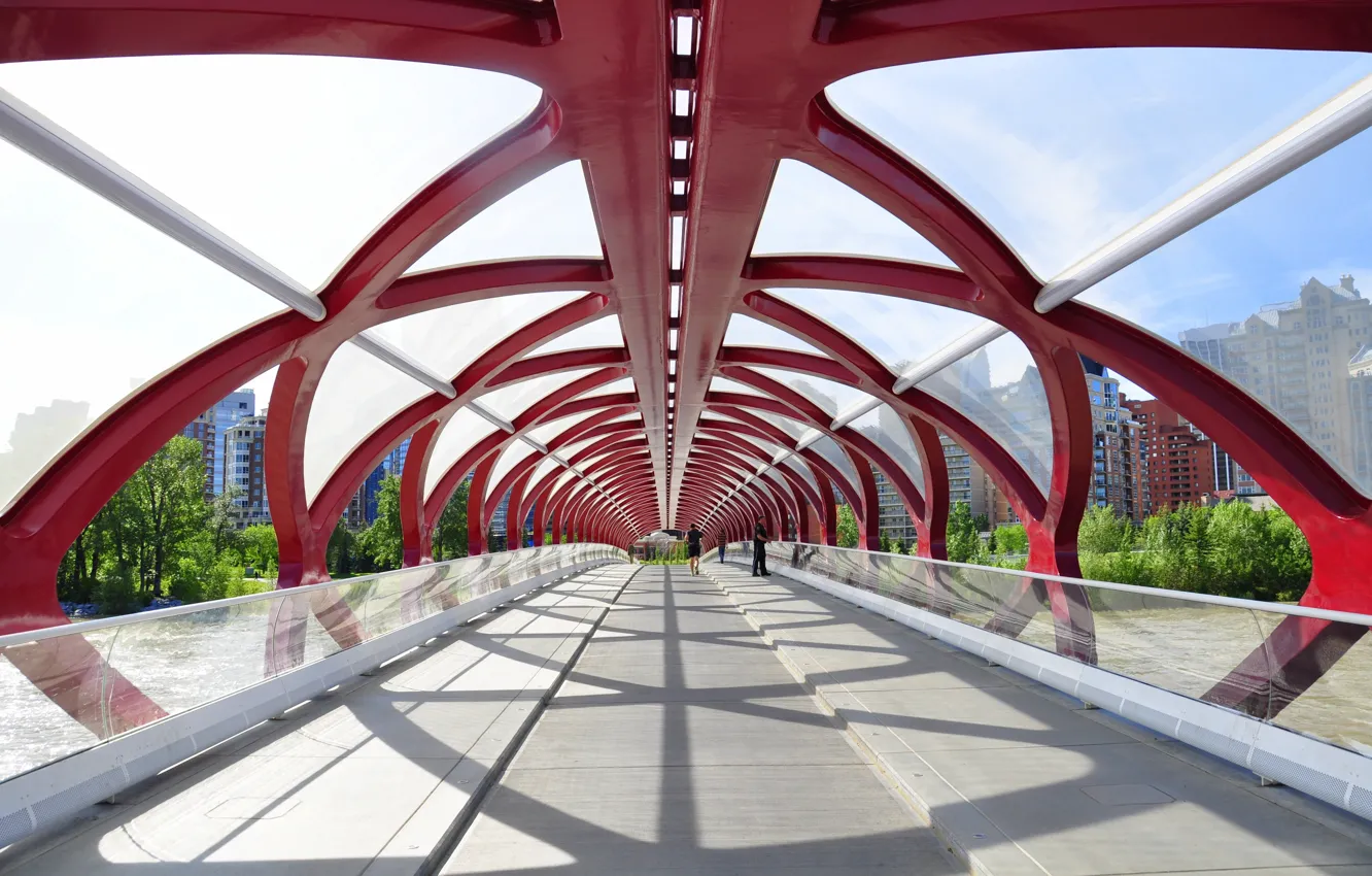 Photo wallpaper bridge, the city, design