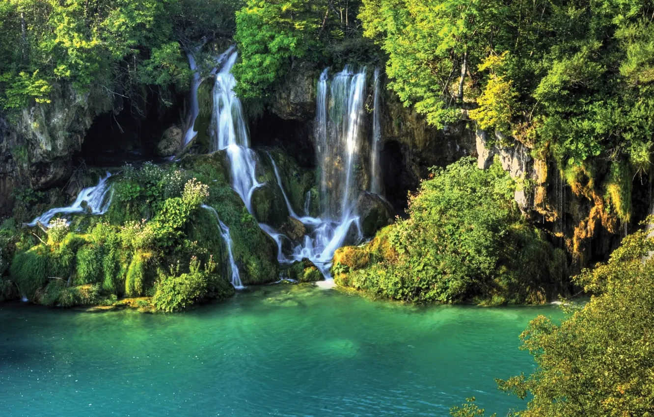 Photo wallpaper forest, water, trees, nature, waterfall, pond