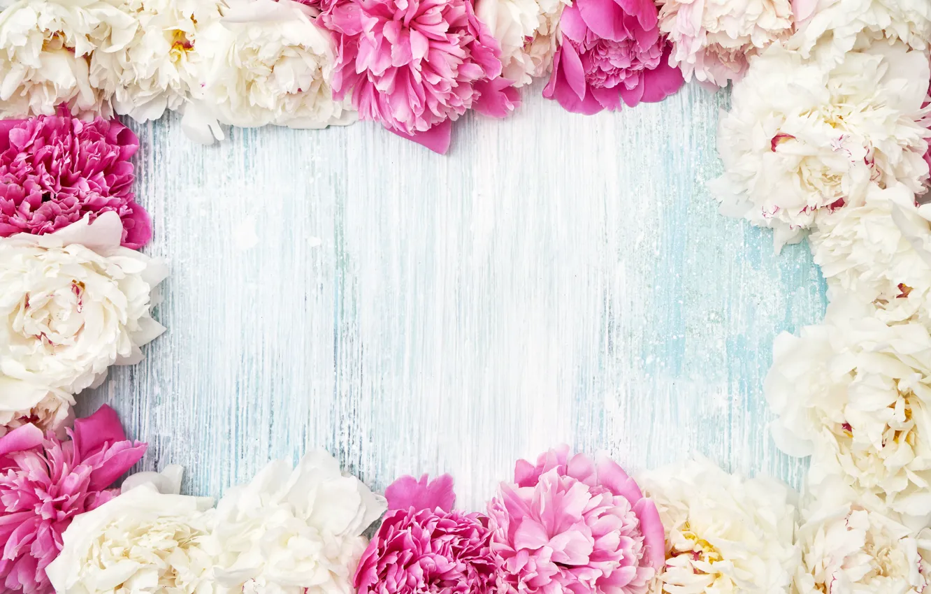 Photo wallpaper background, blue, frame, wood, peonies, LAIMDOTA GRIVANE