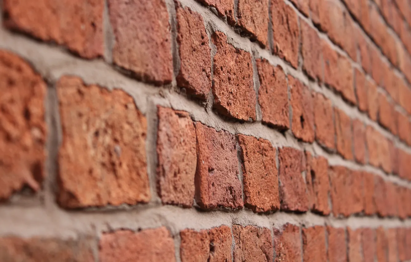 Photo wallpaper macro, wall, bricks