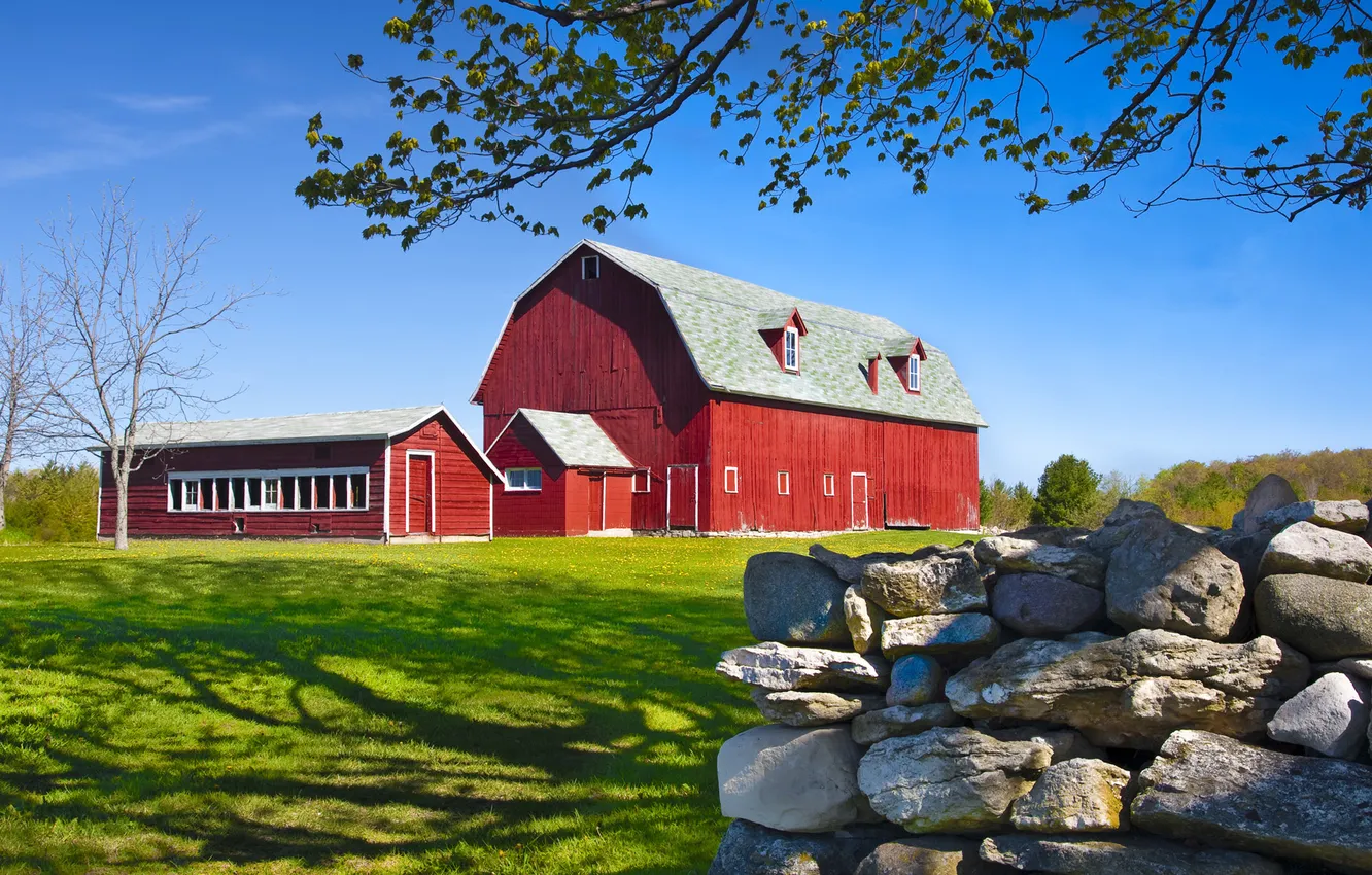 Photo wallpaper field, stones, farm