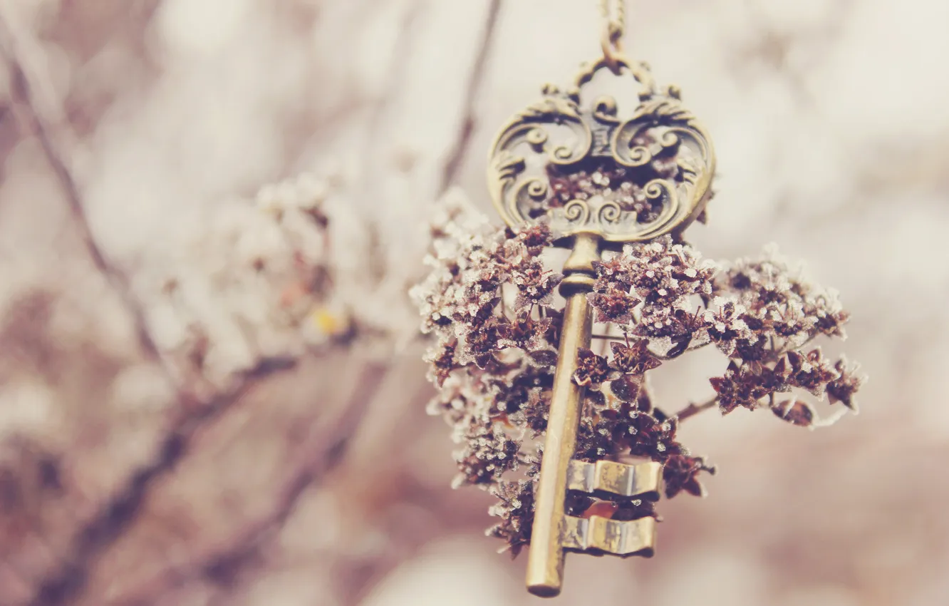 Photo wallpaper flowers, key, keys