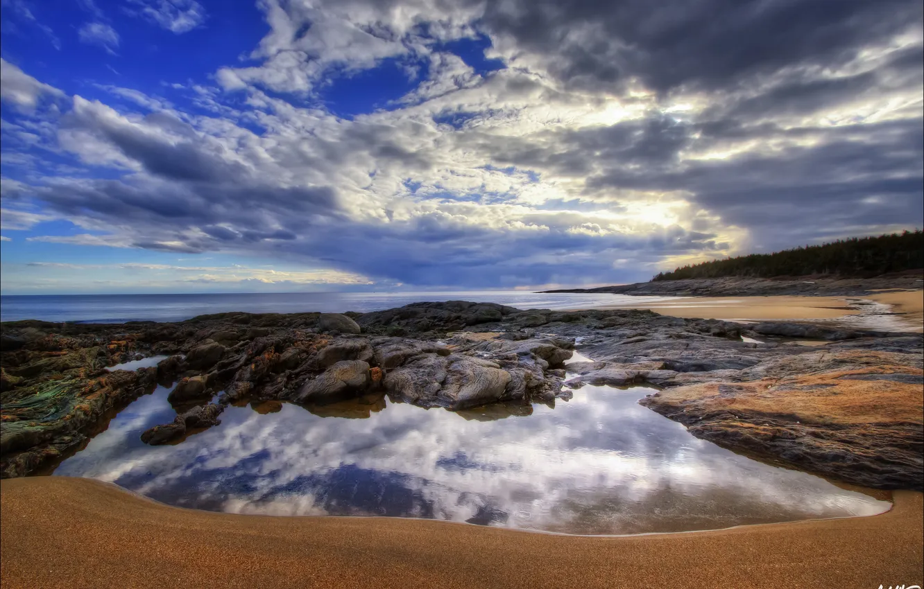 Photo wallpaper sea, forest, beach, clouds, shore