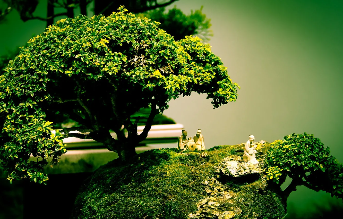 Photo wallpaper tree, bonsai, art, figure, composition