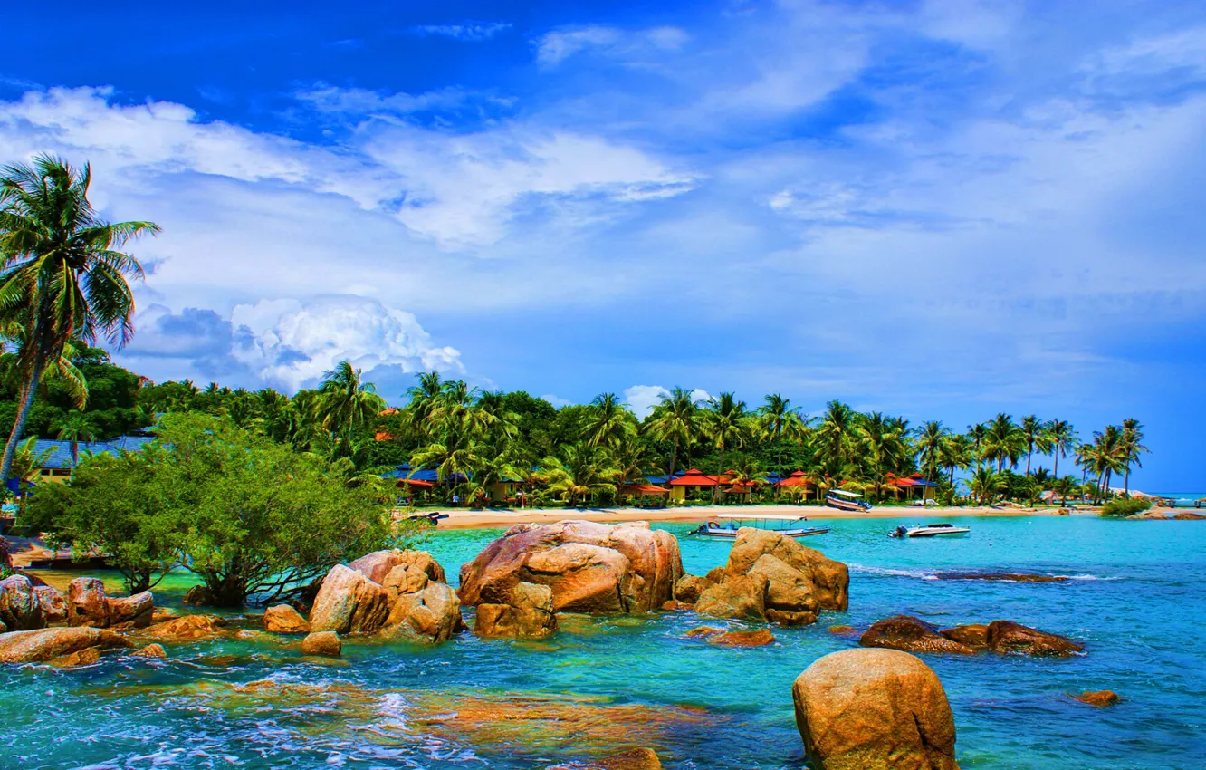 Photo wallpaper nature, beach, Exotic