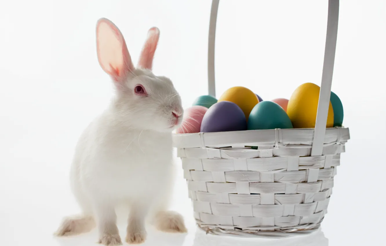 Photo wallpaper basket, egg, rabbit, Easter, easter