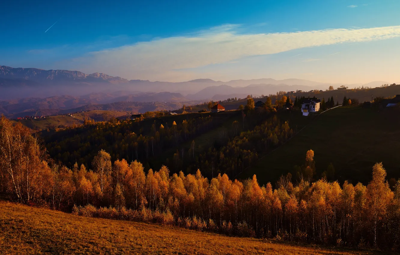 Photo wallpaper field, autumn, forest, the sky, clouds, light, trees, mountains
