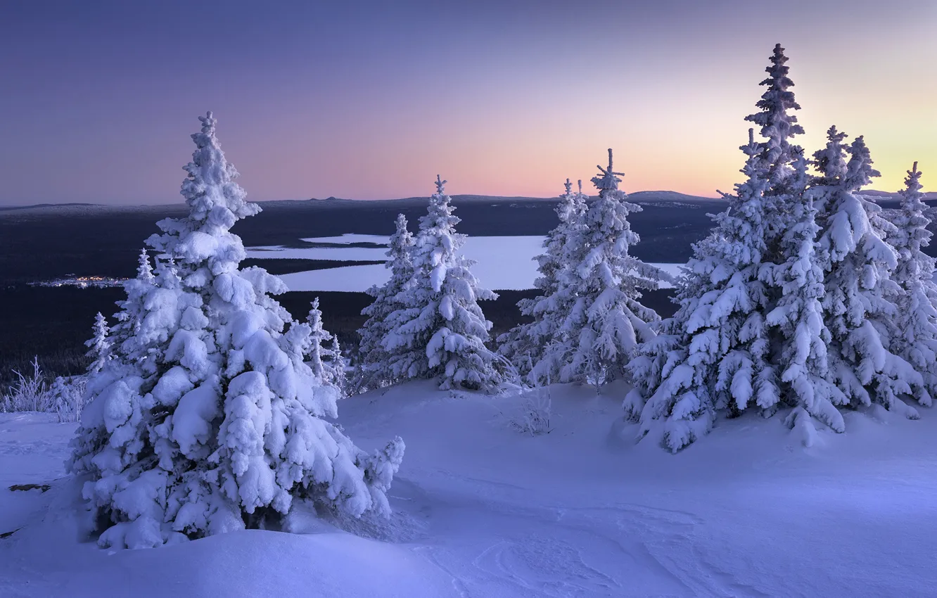 Photo wallpaper winter, forest, the sky, snow, river, view, dal, the evening
