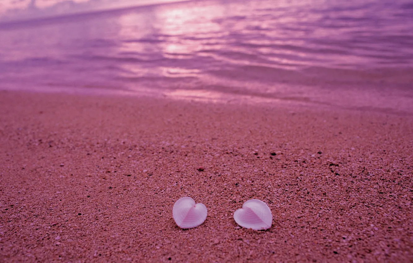 Photo wallpaper sand, beach, love, pink, shore, heart, shell