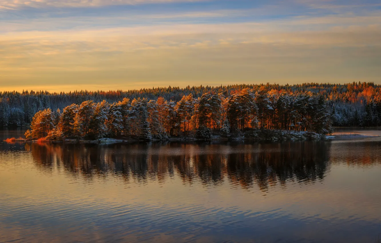 Photo wallpaper autumn, forest, snow, trees, sunset, lake, the evening, panorama