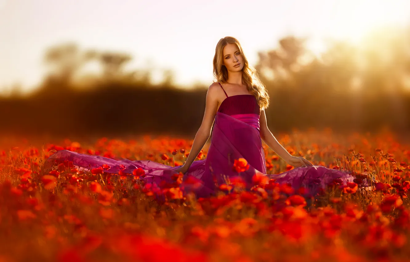 Photo wallpaper dream, dress, field, woman, sunset, beauty, poppy, portrait
