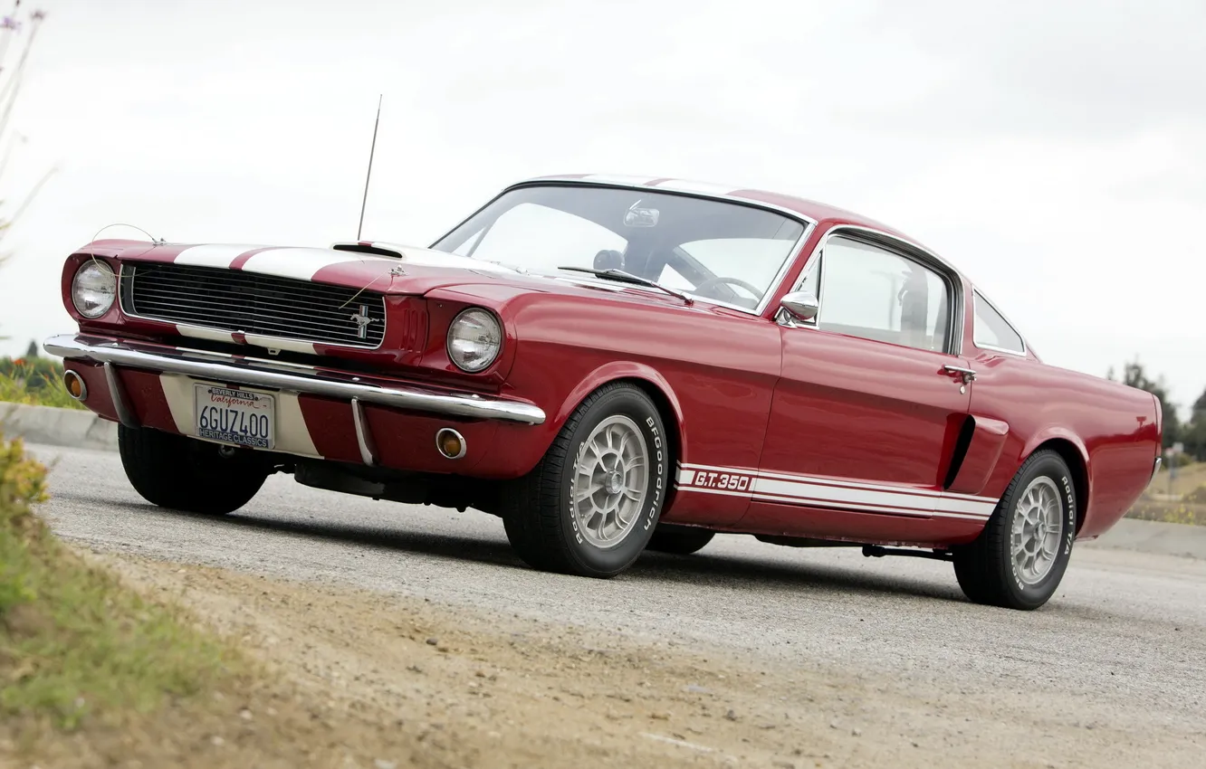 Photo wallpaper machine, Mustang, Ford, Shelby, muscle car, Ford, 1966, GT350