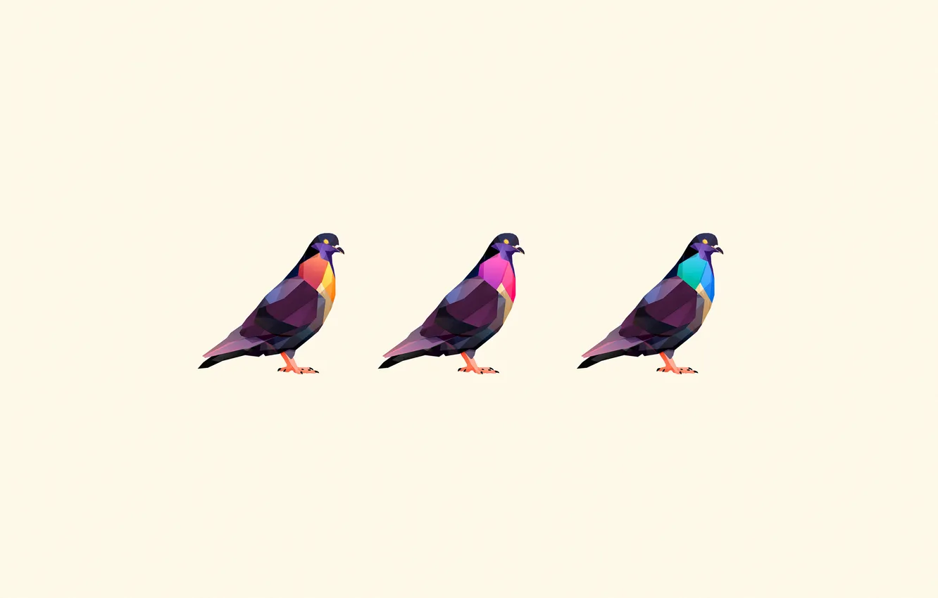 Photo wallpaper bird, colored, pigeons, three, color, white background