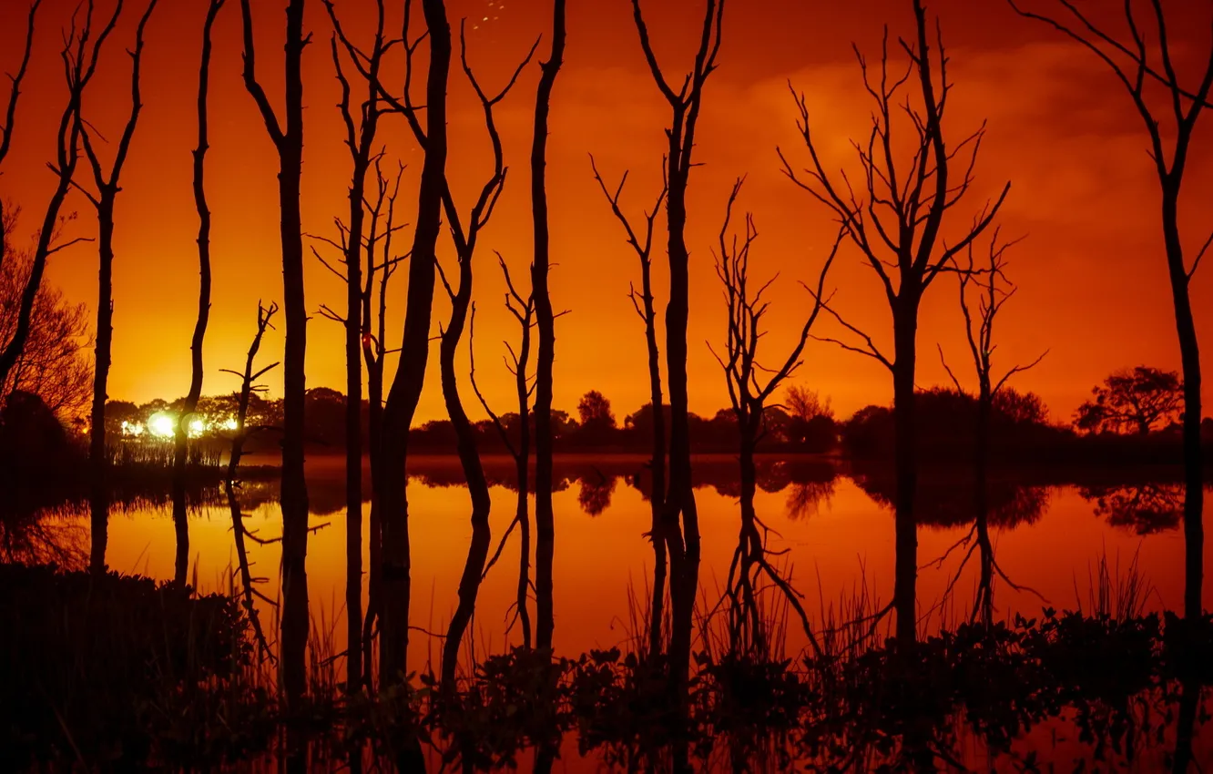 Photo wallpaper trees, landscape, night, river