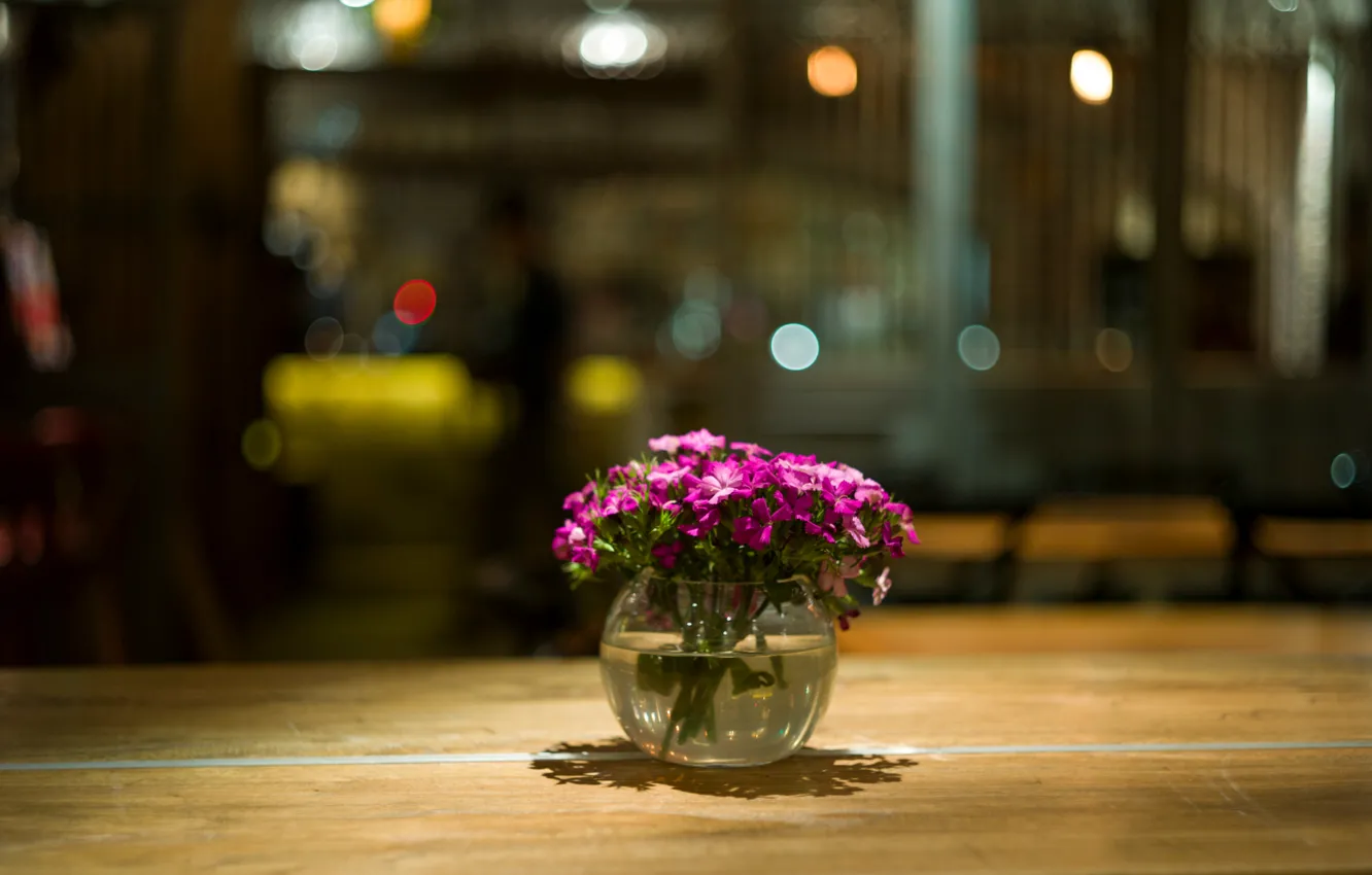 Photo wallpaper macro, flowers, glare, table, petals, pink, vase, Raspberry