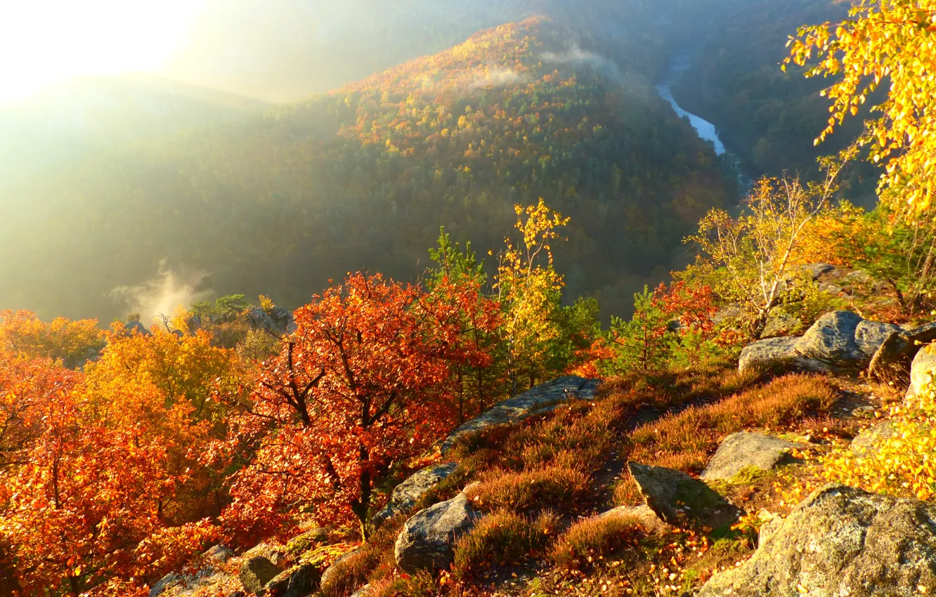 Photo wallpaper autumn, mountains, nature, river