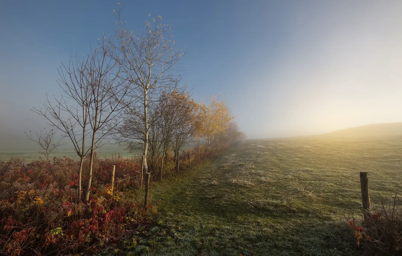 Photo wallpaper landscape, nature, fog, morning