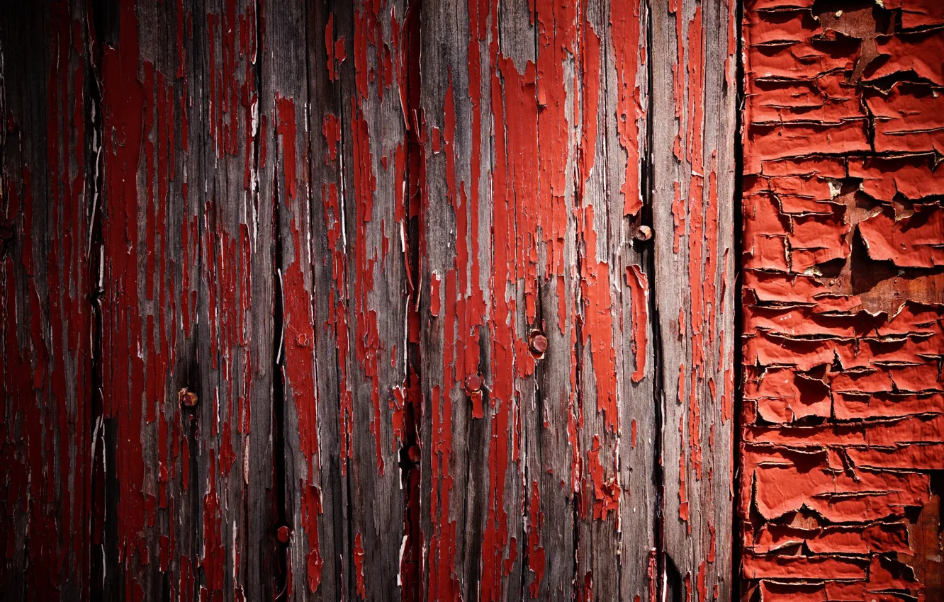 Photo wallpaper background, wall, paint
