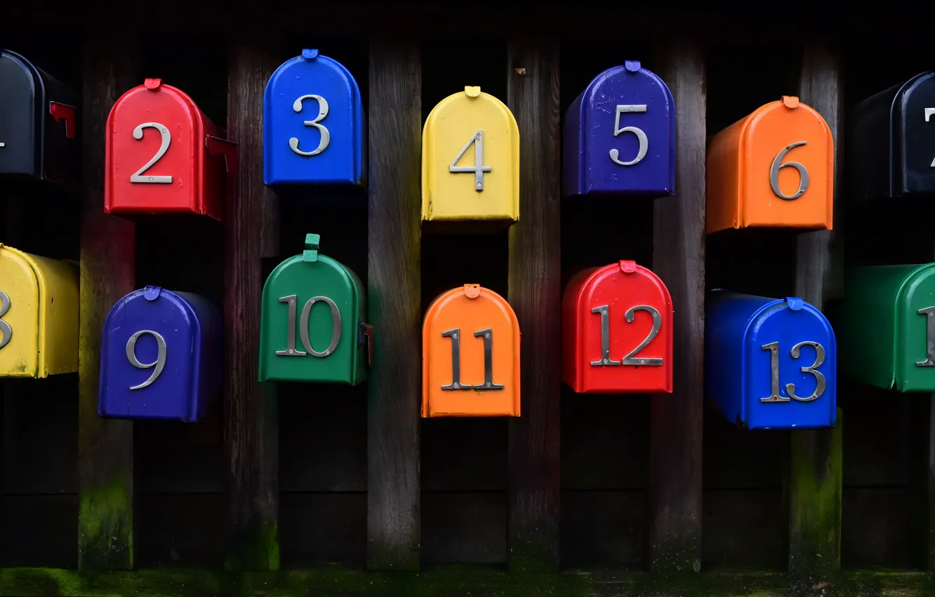 Photo wallpaper color, figures, form