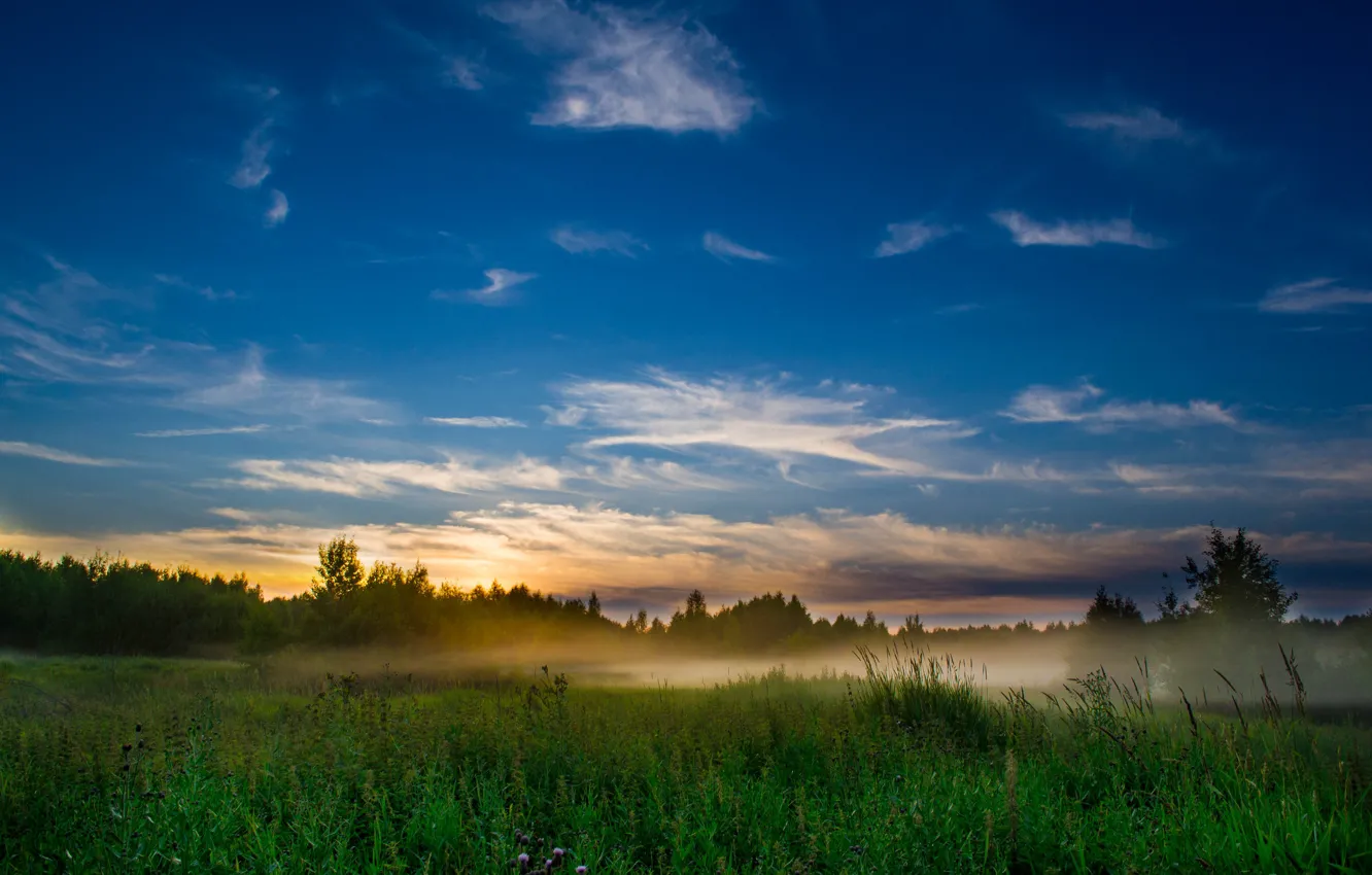 Photo wallpaper grass, the sun, clouds, sunset, fog, glade, the evening, contrast