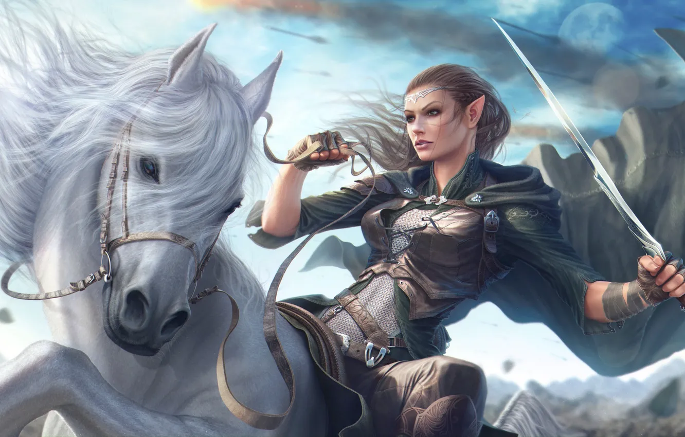 Photo wallpaper girl, horse, warrior, elf, Andrey Zheltov, To battle