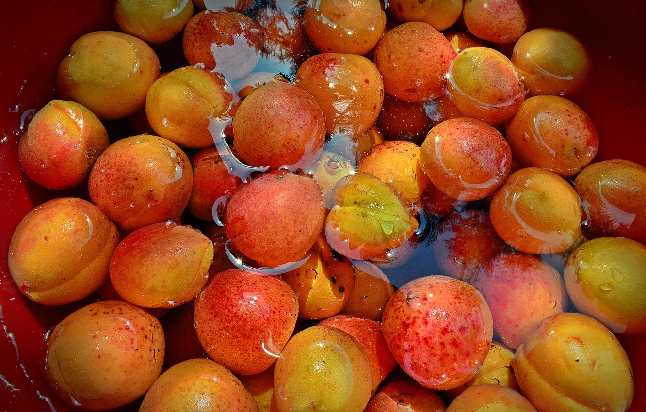 Photo wallpaper water, harvest, fruit, apricots