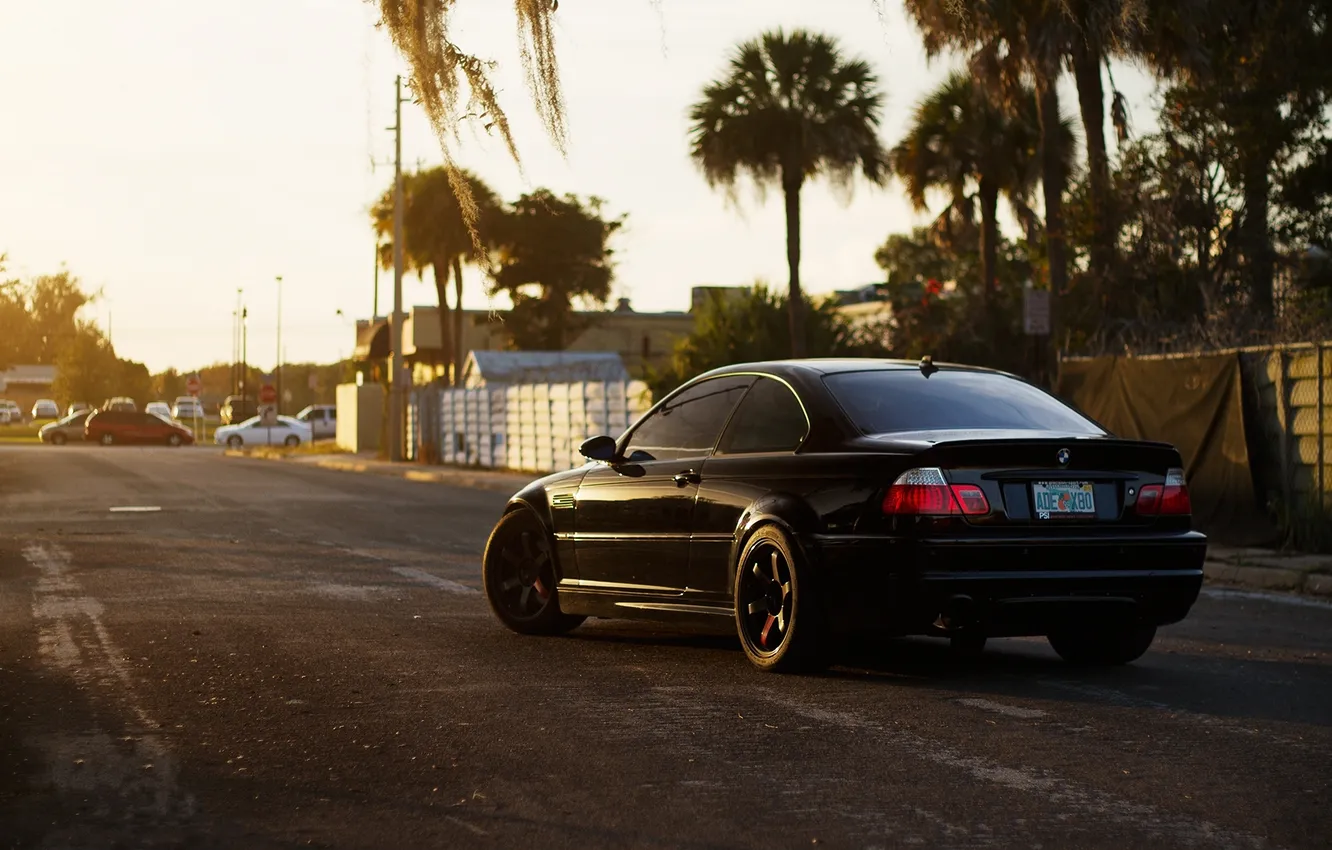 Photo wallpaper trees, black, BMW, shadow, BMW, black, E46