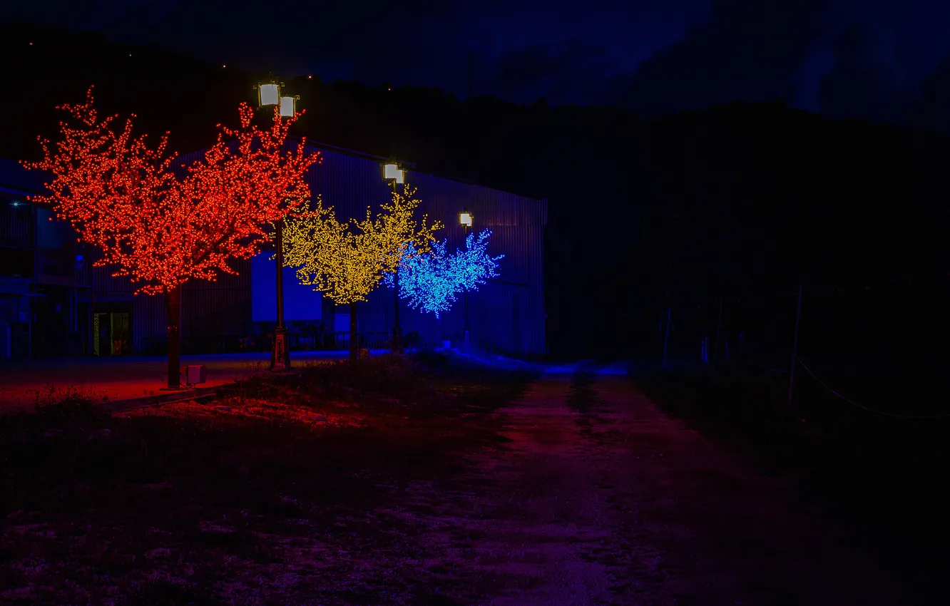 Photo wallpaper trees, night, lights, heart, alley