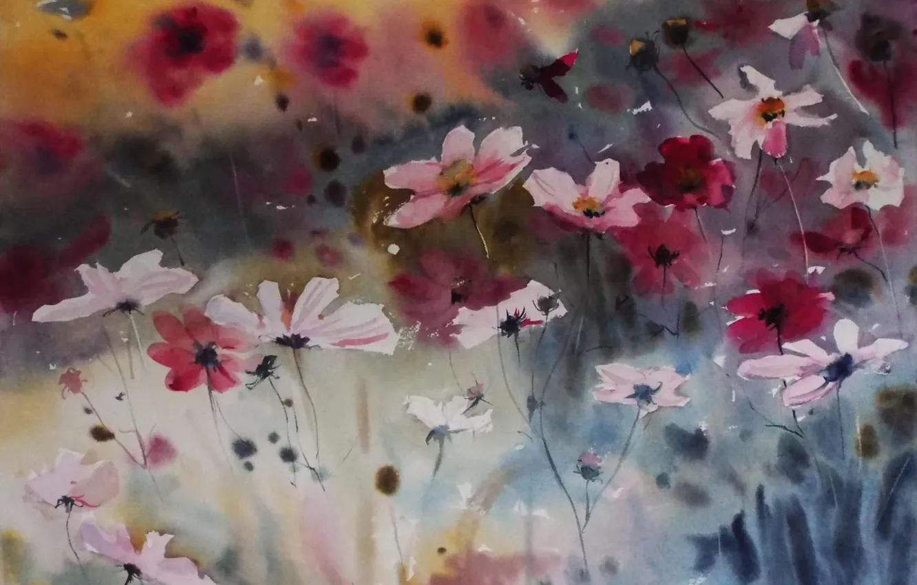 Photo wallpaper red, pink, cosmos