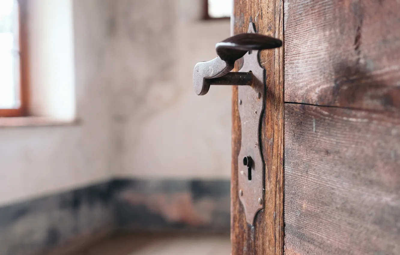Photo wallpaper wood, door, door handle