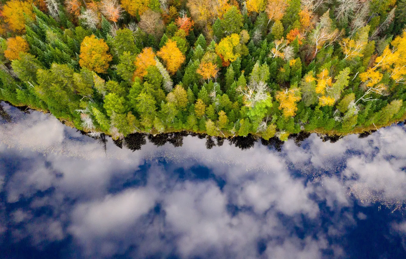 Photo wallpaper autumn, forest, river