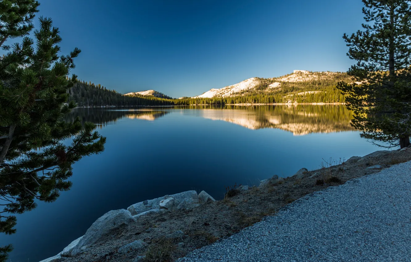 Photo wallpaper trees, mountains, lake, reflection, CA, pine, California, Yosemite National Park