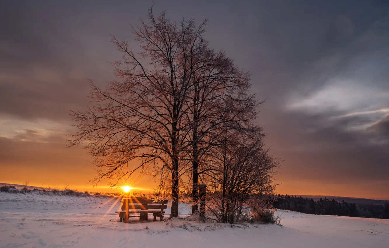 Photo wallpaper winter, sunset, bench