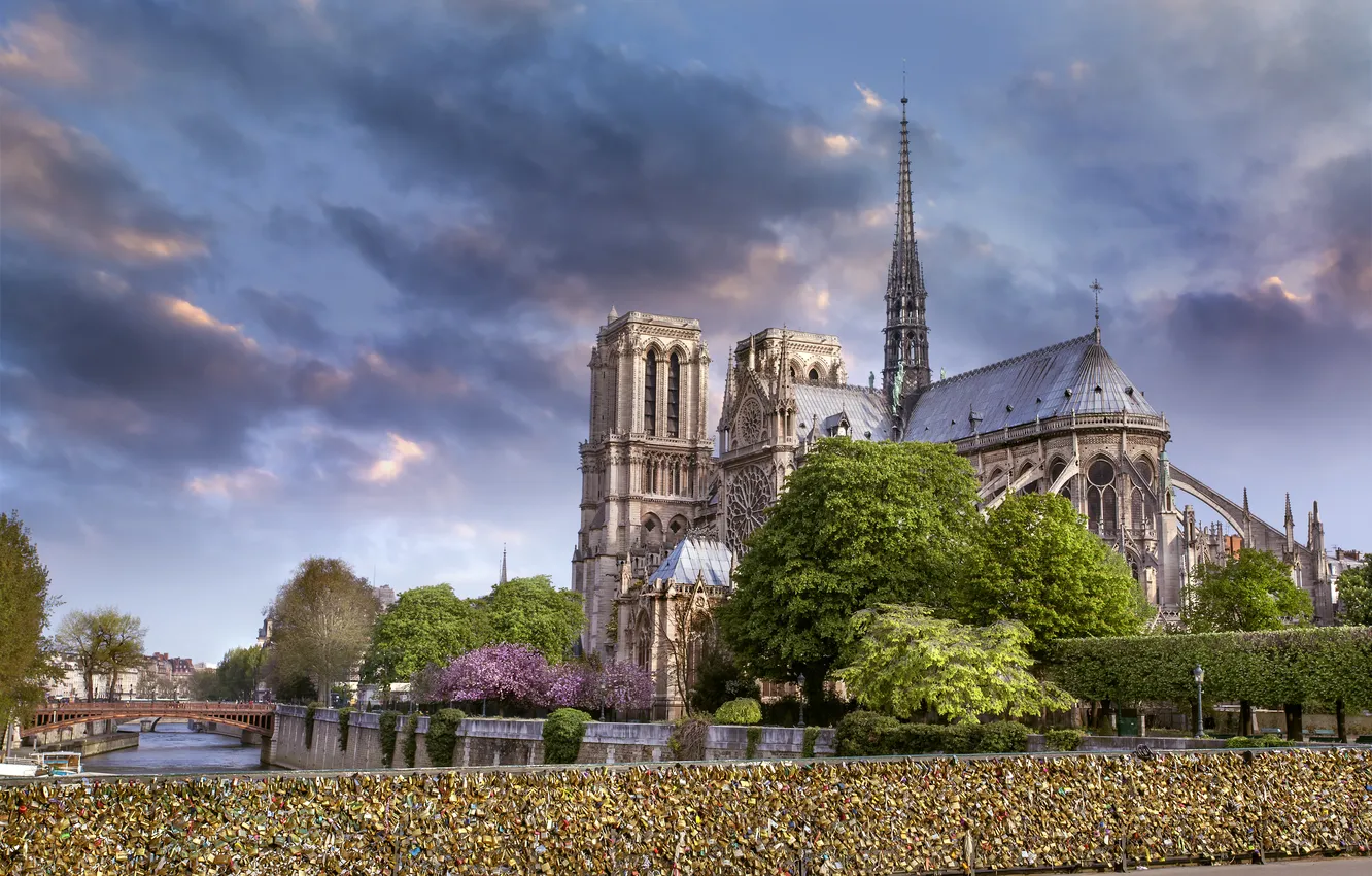 Photo wallpaper Paris, Paris, France, Notre Dame de Paris, cathedrale