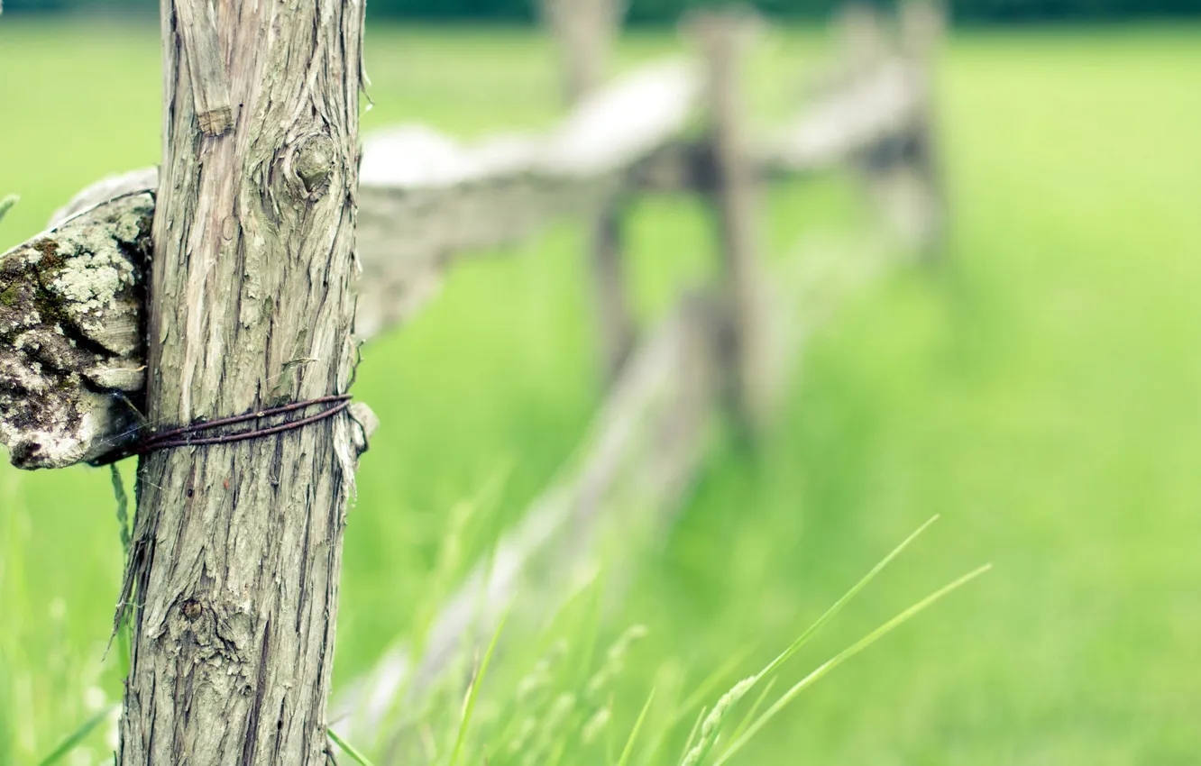 Photo wallpaper field, macro, the fence