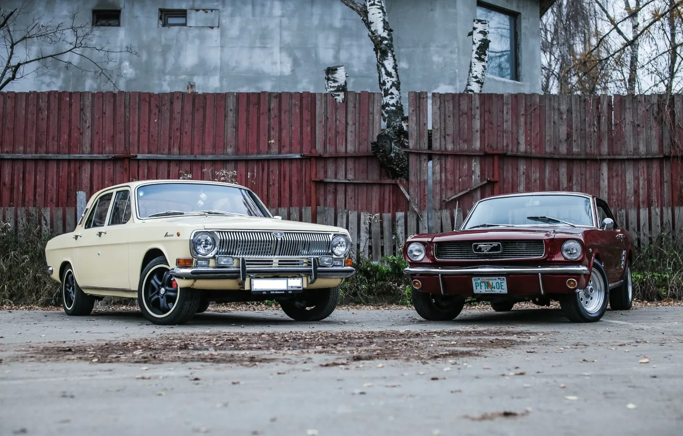 Photo wallpaper machine, tuning, the fence, red, Ford Mustang, sedan, tuning, muscle car
