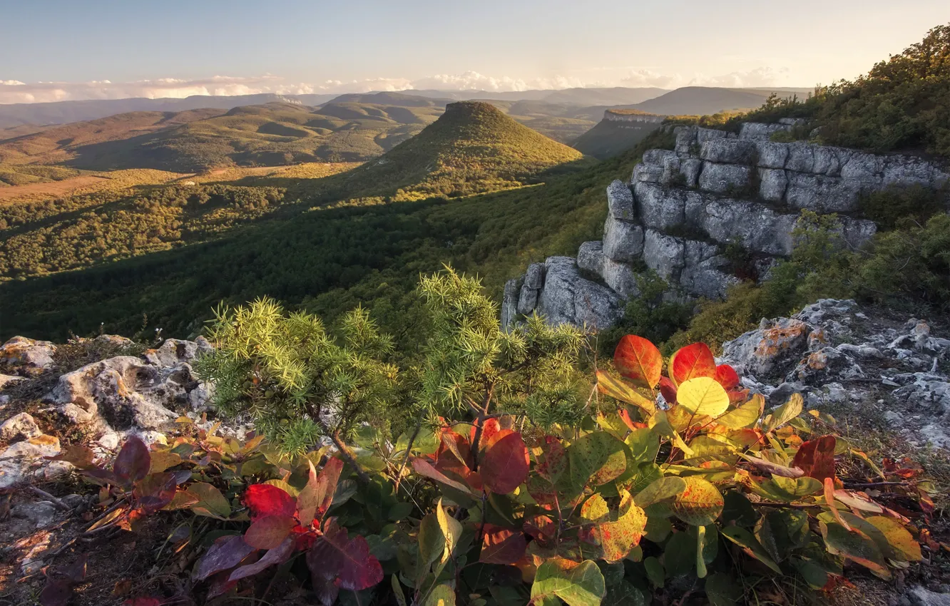 Photo wallpaper autumn, landscape, mountains, nature, stones, vegetation, Crimea, Bakhchisaray
