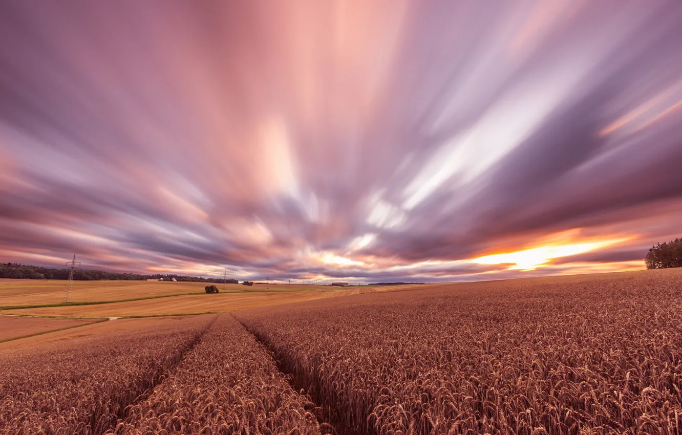 Photo wallpaper wheat, field, sunset, the evening, harvest