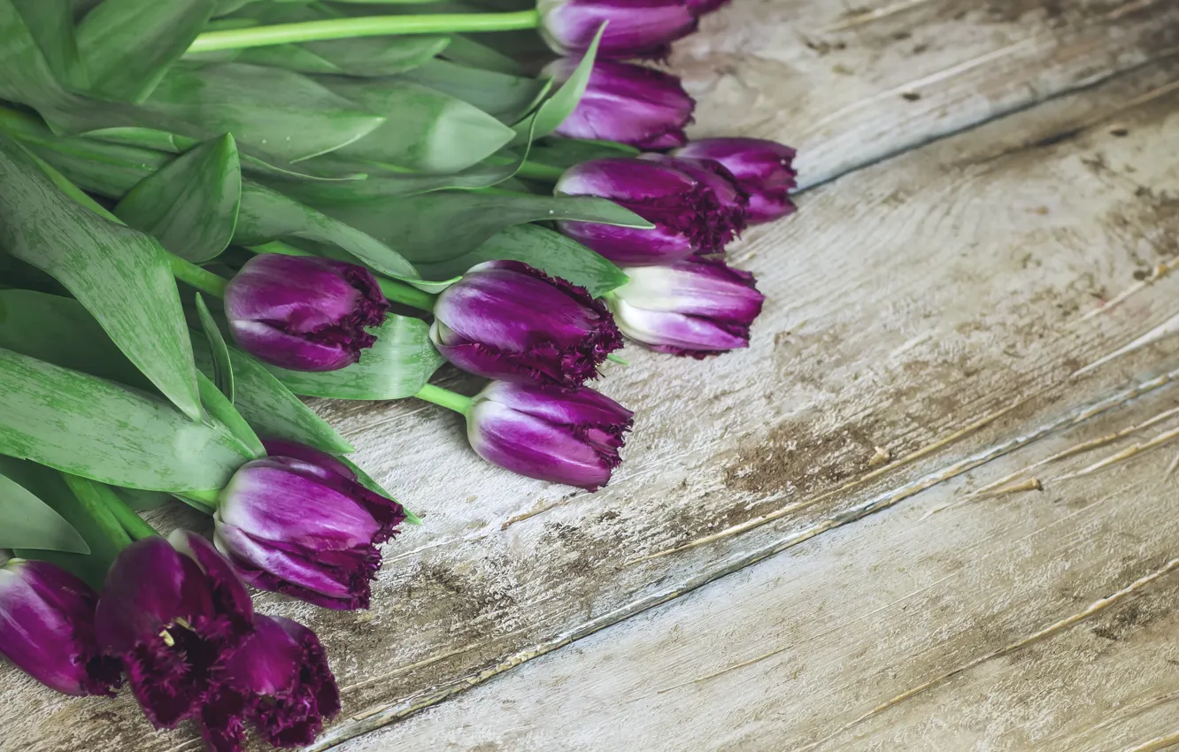 Photo wallpaper flowers, bouquet, purple, tulips, wood, flowers, tulips, purple