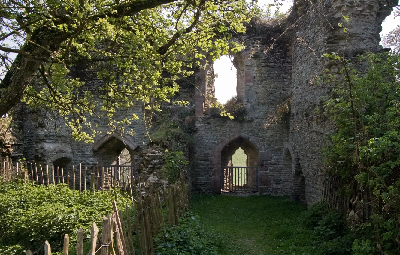 Photo wallpaper trees, the fence, England, ruins, England, medieval architecture, Wigmore Castle, County of Herefordshire