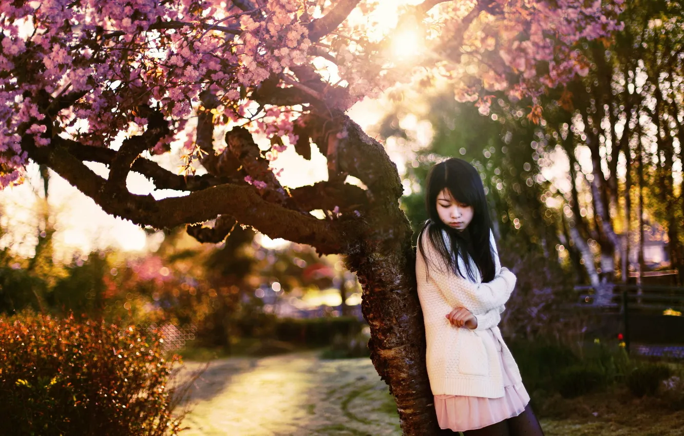 Photo wallpaper girl, mood, Sakura, Asian