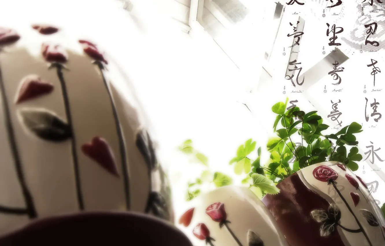 Photo wallpaper light, flowers, window